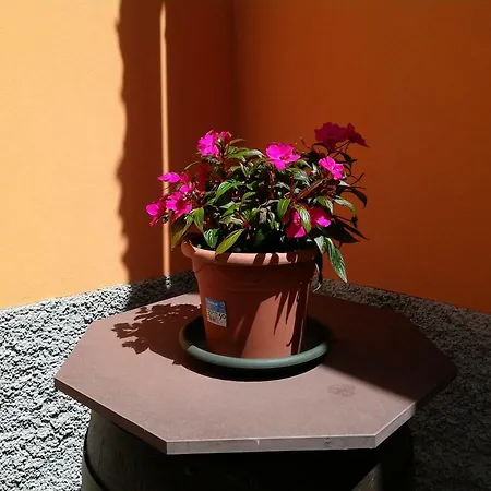 Hébergement de vacances Casavacanzaicolli Pescantina