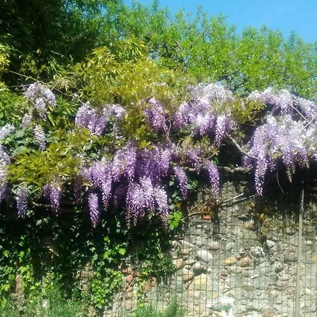 Casavacanzaicolli Pescantina